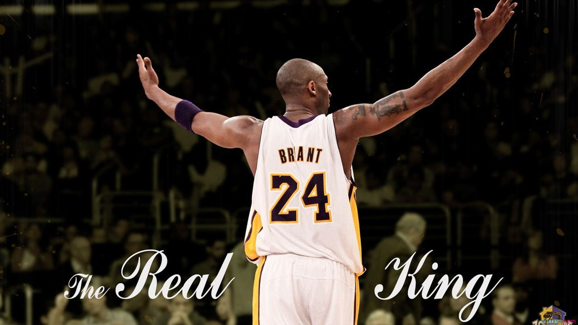 LCK明星选手国际赛表现，lckchovy选手