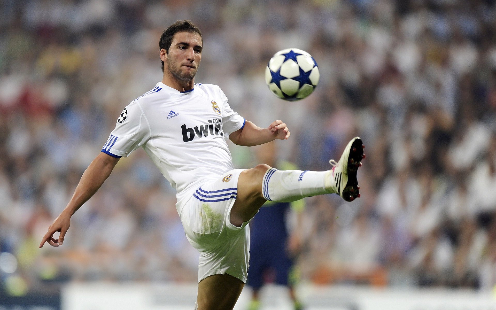 凯撒酋长在国内赛事中取得优异成绩，凯撒酋长足球俱乐部